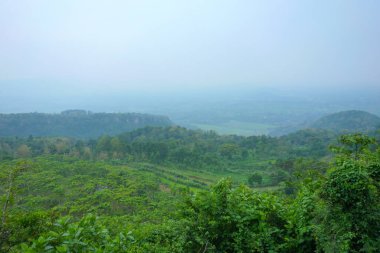 Tepenin tepesinden güzel manzaralar, geniş panorama yeşil ağaçlar, pirinç tarlaları ve aşağıdaki manzaraya hakim bulutlarla dolu mavi gökyüzü.