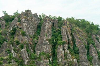 An amazing ancient stone hill that has existed hundreds of millions of years ago, this hill is dominated by ancient stone with green trees, which are still natural and beautiful, with views of rice fields in front and bright blue sky behind