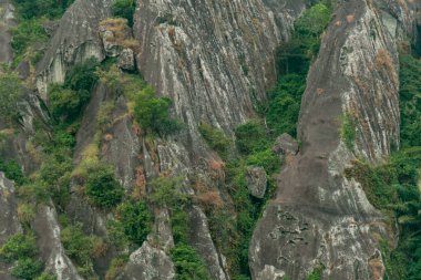 An amazing ancient stone hill that has existed hundreds of millions of years ago, this hill is dominated by ancient stone with green trees, which are still natural and beautiful, with views of rice fields in front and bright blue sky behind