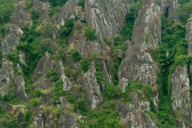 An amazing ancient stone hill that has existed hundreds of millions of years ago, this hill is dominated by ancient stone with green trees, which are still natural and beautiful, with views of rice fields in front and bright blue sky behind