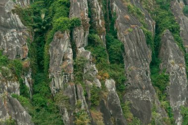 An amazing ancient stone hill that has existed hundreds of millions of years ago, this hill is dominated by ancient stone with green trees, which are still natural and beautiful, with views of rice fields in front and bright blue sky behind