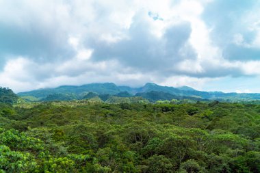 Merapi Ulusal Parkı, Yogyakarta, Endonezya 'da verimli ve verimli ağaçların hakim olduğu tropikal orman biçiminde geniş bir tepe. Bulutlu bir günde fotoğraflandı