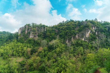 An amazing ancient stone hill that has existed hundreds of millions of years ago, this hill is dominated by ancient stone with green trees, which are still natural and beautiful, with views of rice fields in front and bright blue sky behind