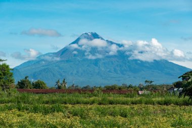 The stunning Mount Merapi, an active volcano on the island of Java, Indonesia, is seen from a distance with blue skies and a sea of clouds