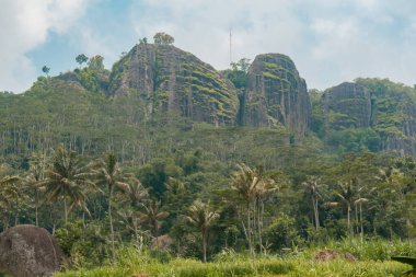 An amazing ancient stone hill that has existed hundreds of millions of years ago, this hill is dominated by ancient stone with green trees, which are still natural and beautiful, with views of rice fields in front and bright blue sky behind