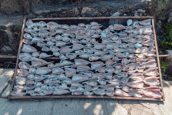 Fresh fish caught by fishermen in the cooler and being dried in the sun to be made into salted fish, fresh fish ready for sale