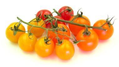 Beyaz ışığın altında organik kiraz domatesleri sarı, turuncu ve kırmızı