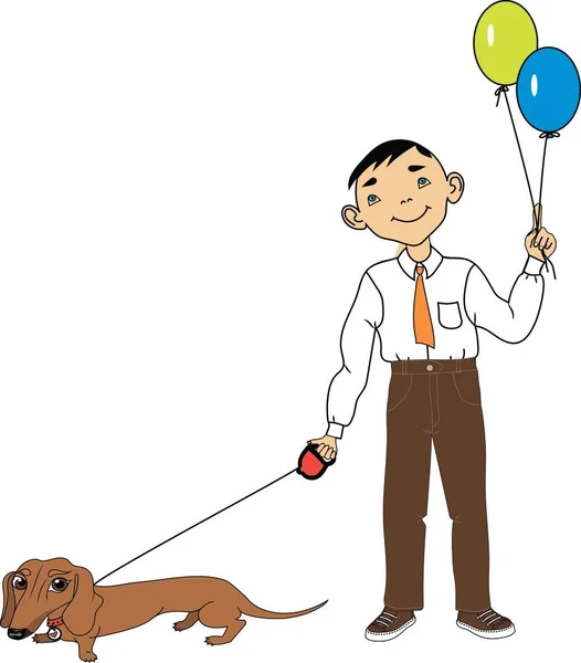 Little Boy Balloons Red Dachshund — Stok fotoğraf