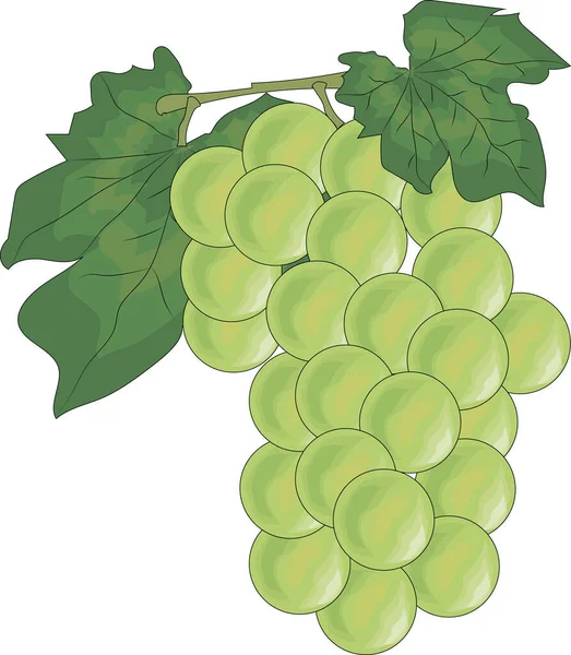 Olgun, sarı, mis kokulu ve lezzetli muz.