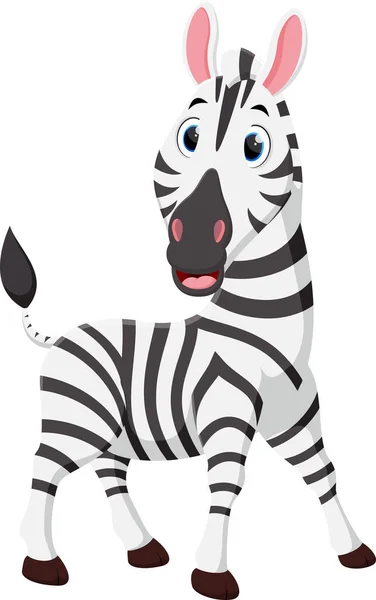 Ilustración Vectorial Dibujos Animados Happy Zebra Aislados Sobre Fondo Blanco — Vector de stock