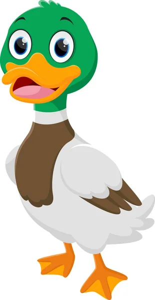 Vector Illustration Cute Happy Duck Карикатура Ізольована Білому Тлі — стоковий вектор