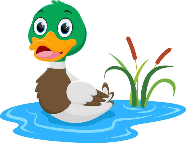 Vector Illustration Von Cute Happy Duck Cartoon Isoliert Auf Weißem — Stockvektor