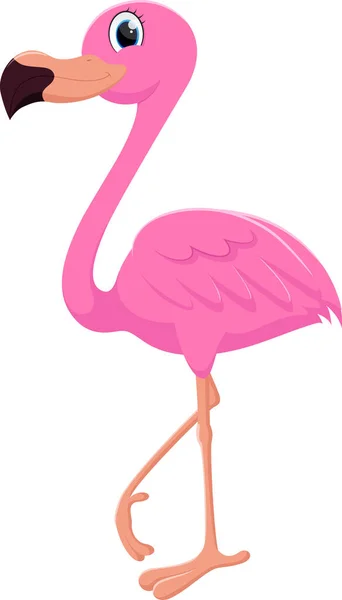 Vektor Illustration Des Niedlichen Flamingos Auf Weißem Hintergrund — Stockvektor