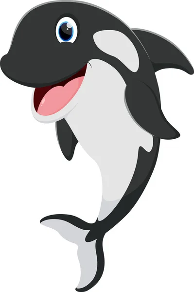 Ilustración Vectorial Dibujos Animados Ballena Asesino Lindo Aislado Sobre Fondo — Vector de stock