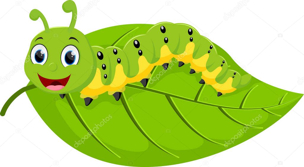 Vector Illustration of Cartoon cute caterpillar, isolated on white background