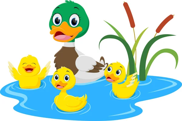 Vector Illustration Happy Duck Family Cartoon Isolated White Background — ストックベクタ