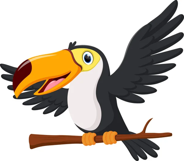Vector Ilustración Dibujos Animados Feliz Tucán Pájaro Aislado Sobre Fondo — Vector de stock