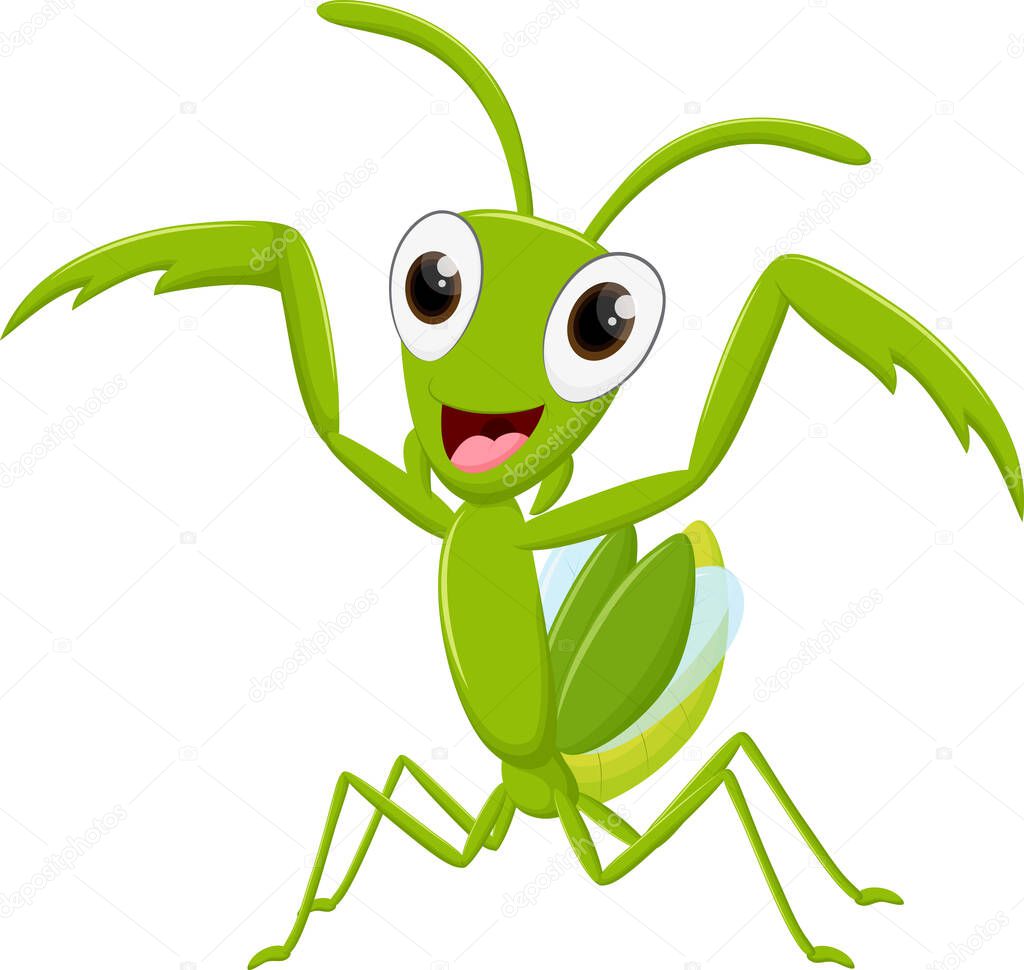 Vector Illustration of Happy Mantis cartoon isolated on white