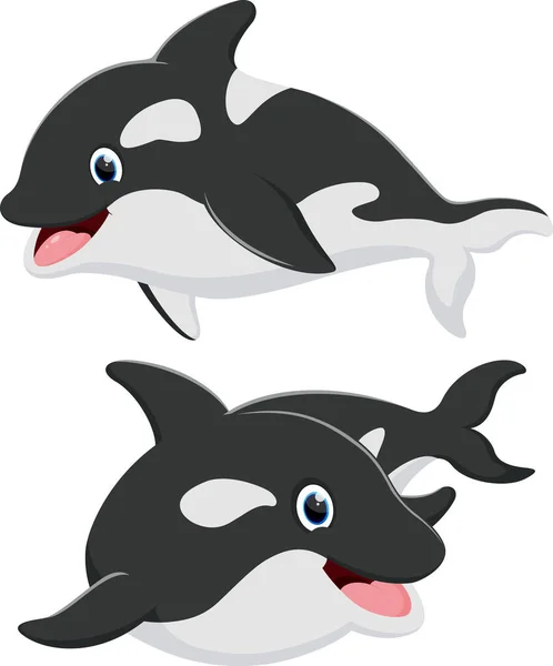 Ilustración Vectorial Del Conjunto Dibujos Animados Lindos Ballenas Asesinas — Archivo Imágenes Vectoriales