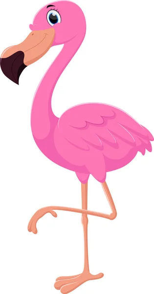 Vektor Illusztrációja Rajzfilm Flamingo Elszigetelt Fehér Háttér — Stock Vector