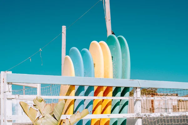 set of colourful surfboards in line at the beach