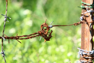 İsrail 'de bir şehir parkında dikenli tel örgü.. 