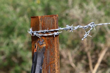 İsrail 'de bir şehir parkında dikenli tel örgü.. 