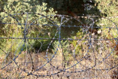 İsrail 'de bir şehir parkında dikenli tel örgü.. 