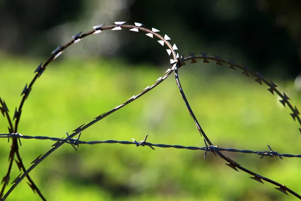 Barbed Wire Fence City Park Israel — Stock Photo, Image