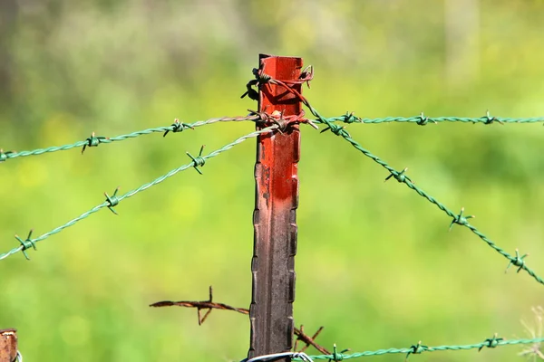 Barbed Wire Fence City Park Israel — Stock Photo, Image