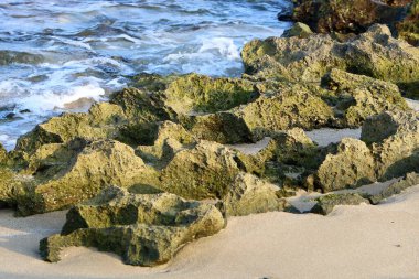Taş yüzeyi ve taş dokusu yakından. Taşlar deniz kıyısındaki şehir parkında yatıyor. 