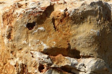 Taş yüzeyi ve taş dokusu yakından. Taşlar deniz kıyısındaki şehir parkında yatıyor. 