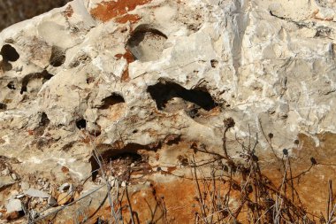 Taş yüzeyi ve taş dokusu yakından. Taşlar deniz kıyısındaki şehir parkında yatıyor. 