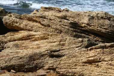 Taş yüzeyi ve taş dokusu yakından. Taşlar deniz kıyısındaki şehir parkında yatıyor. 
