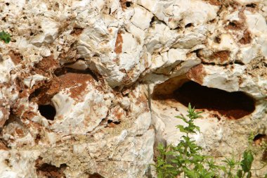 Taş yüzeyi ve taş dokusu yakından. Taşlar deniz kıyısındaki şehir parkında yatıyor. 