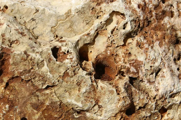 Steinoberfläche Und Steinstruktur Aus Nächster Nähe Steine Liegen Stadtpark Meeresufer — Stockfoto