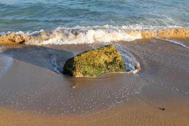 Akdeniz kıyılarındaki taşlar Kuzey İsrail 'de Nahariya sahilinde 