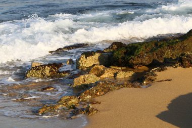 Akdeniz kıyılarındaki taşlar Kuzey İsrail 'de Nahariya sahilinde 