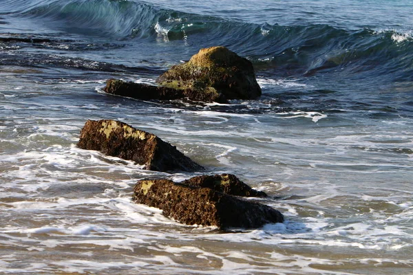 Pedras Nas Margens Mar Mediterrâneo Norte Israel Praia Nahariya — Fotografia de Stock