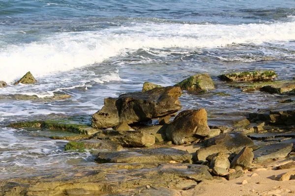 Камені Берегах Середземного Моря Півночі Ізраїлю Пляжі Нахарії — стокове фото