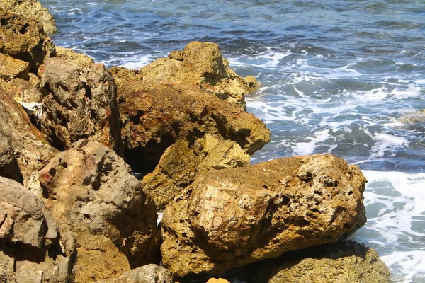 Kameny Březích Středozemního Moře Severním Izraeli Pláži Nahariya — Stock fotografie