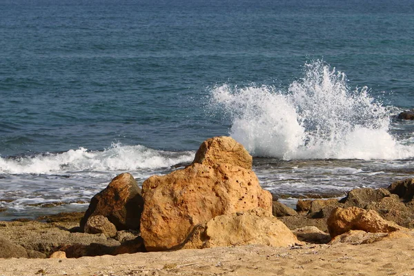 Stenar Vid Medelhavet Norra Israel Stranden Nahariya — Stockfoto
