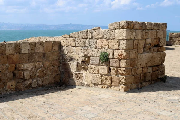 Kuzey İsrail 'deki Akdeniz üzerindeki antik Akko kentinin duvarları.. 