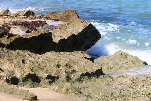 イスラエル北部の地中海沿岸の高い崖や石 — ストック写真