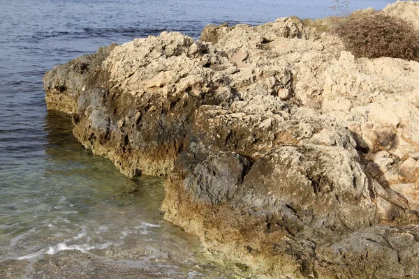 Високі Скелі Каміння Березі Середземного Моря Півночі Держави Ізраїль — стокове фото