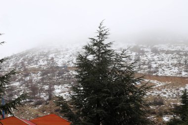Snow and fog on Mount Hermon in northern Israel. Hermon is Israel's highest mountain and the only place where you can practice winter sports. 