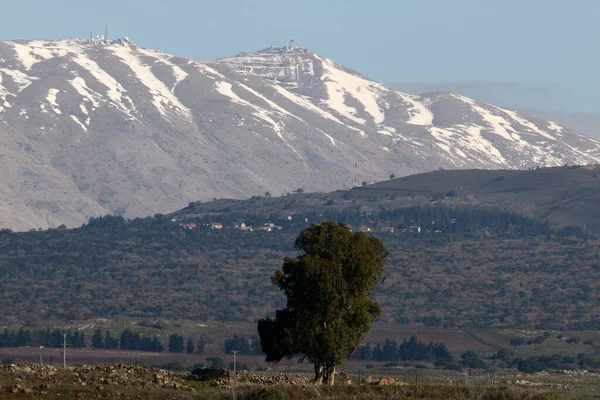 Snow Fog Mount Hermon Northern Israel Hermon Israel Highest Mountain — Fotografia de Stock