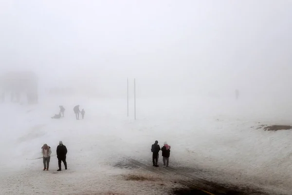 Snow Fog Mount Hermon Northern Israel Hermon Israel Highest Mountain — Stock fotografie