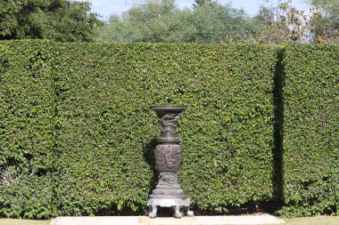 Bahai Bahçeleri (Baha 'i Faith), İsrail' de bahçeler, Bab Tapınağı 'nın etrafındaki bahçe terasları. Ocak ayında kışın bir sürü yeşil ağaç ve çiçek olur.. 