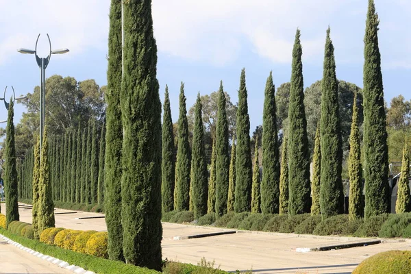 Jardines Bahai Terrazas Baha Jardines Colgantes Israel Terrazas Jardín Alrededor — Foto de Stock